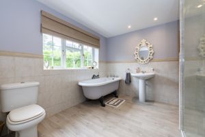 Photo 15- click for photo gallery